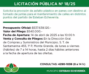 LICITACIÓN PÚBLICA 18/25