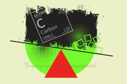 Desde 2005, Argentina ha registrado apenas 60 proyectos de carbono, un número ínfimo frente a los más de 12.000 a nivel global.