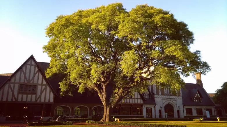 El club house del Jockey Club de San Isidro