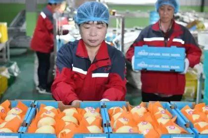 China anunció que comenzó a exportar peras a la Argentina