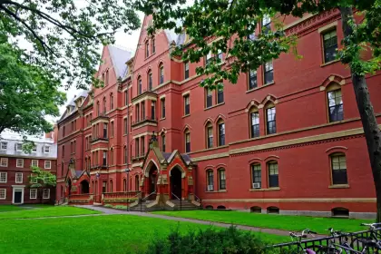 Trump vs. Harvard: la batalla legal por los estudiantes internacionales escala a nivel global