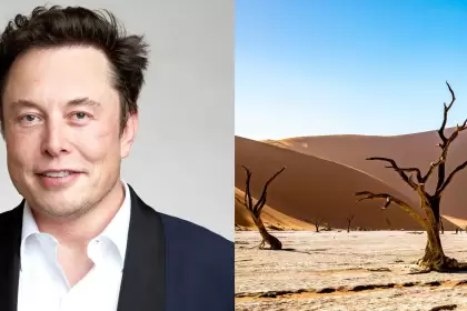 Elon Musk vuelve a alertar por una inminente 'sequía eléctrica' provocada por la IA