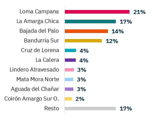 Las diez principales áreas que concentran la myaor producción de shale oil en todo el país.