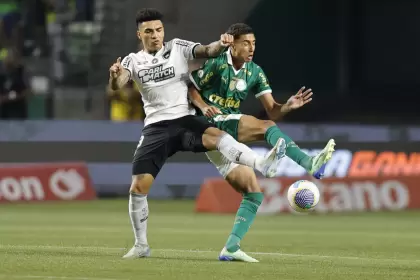 Botafogo y Palmeiras están acostumbrados a enfrentarse en el Brasileirao