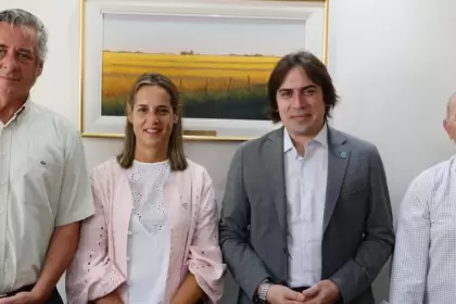 Nicolás Pino, Andrea Sarnari, Lucas Magnano y Carlos Castagnani. La Mesa de Enlace estalla contra Milei: "No cumplió su promesa".