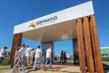 Una empresa argentina en el top mundial del maz. GDM compr AgReliant en EE.UU. y pisa fuerte en el negocio global.