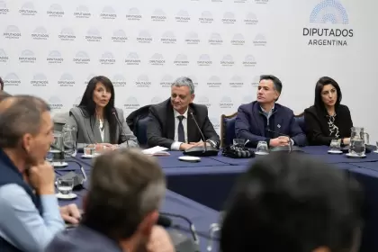La iniciativa propone un régimen especial inspirado en el RIGI.