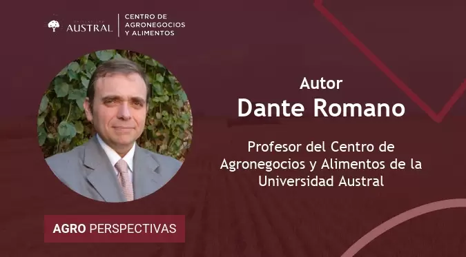 El informe de Dante Romano
