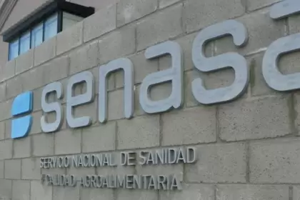 Renunció Pablo Cortese, el presidente del Senasa