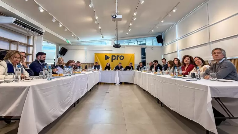 Reunión PRO