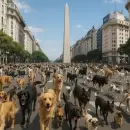 Cuánto gasta un argentino en su mascota y cómo no fundir en el intento