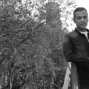 "Mientras Milei cumpla el contrato de bajar la inflación, las cuestiones culturales importan poco o nada"