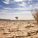 ALARMANTE: el 36% del suelo argentino está en peligro