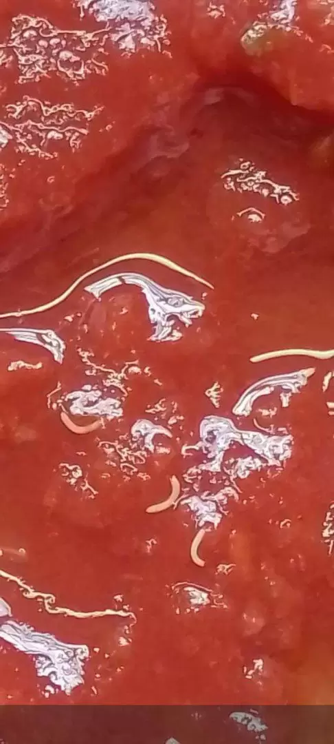 La presencia de este tipo de parásitos representa un riesgo potencial para la salud si el producto se consume.