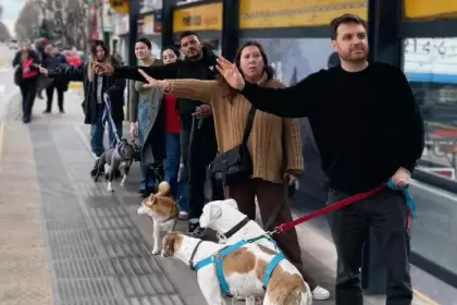 Emmanuel Ferrario pidió que perros y gatos viajen en transporte público con la Ley Huellas