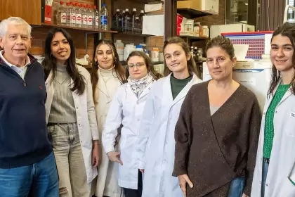 Un nuevo proyecto de investigación podría revolucionar la forma de detectar una de las formas de violencia más difíciles de visibilizar