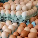 Consumo récord: el huevo supera a la leche y va por la carne
