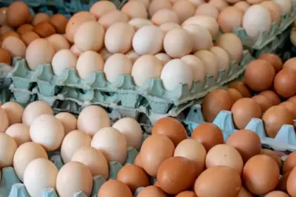 El boom del huevo: ya es la segunda proteína de los argentinos