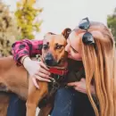 Besarlos puede ser peligroso: crece una enfermedad que transmiten los perros