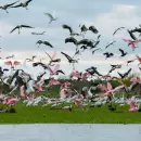 Se lanza Travesía Capricornio, la nueva marca que busca integrar y potenciar el turismo del Norte Grande