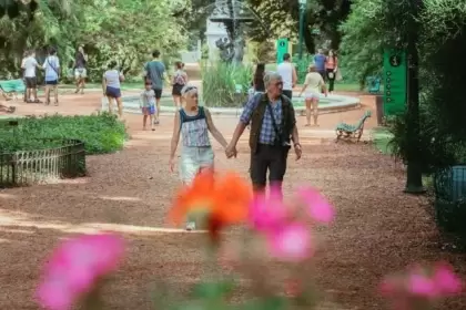 "Te lo llevás a casa": el árbol centenario del Botánico busca nuevos hogares