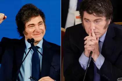 Milei sí, Milei no