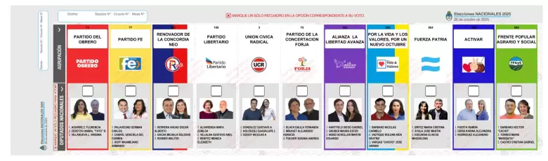 14 misiones bup 2025