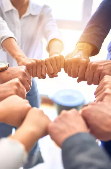Trabajo en equipo
