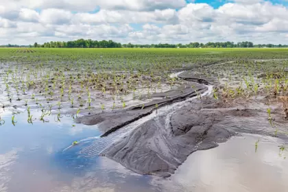 Inundaciones en la zona ncleo: US$ 2.000 millones bajo el agua