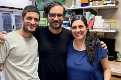 Científicos argentinos desarrollaron una herramienta con IA para predecir tratamientos contra el cáncer