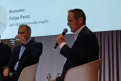 Zavaleta advirtió que la sobreoferta global de productos químicos y la falta de competitividad local