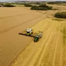 Nuevo plazo para el Inmobiliario Rural: ARBA extiende el vencimiento y mantiene descuentos