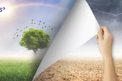 Consultora BPS lleva la consultora de alto nivel a las PyMEs argentinas