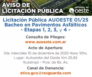 aviso_licitacion_diario dgital_el_economista (1)
