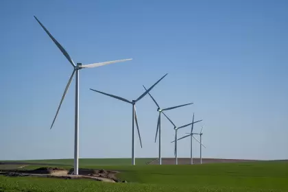 Genneia continúa ampliando su liderazgo en el sector: hoy concentra el 21% de la generación eólica y el 12% de la solar de Argentina