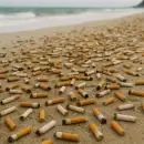 Playas libres de humo en Mar del Plata: montos de las multas, sectores permitidos y dudas sobre los controles