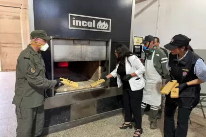 El Gobierno de Santa Fe y Gendarmería Nacional incineraron más de media tonelada de marihuana