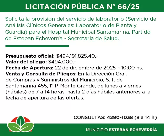 licitacion_66-25 economista_300x250