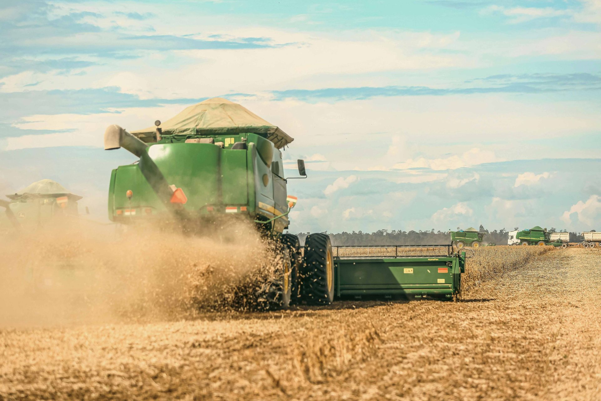 Exportaciones agroargentinas: Vietnam y India superan a China