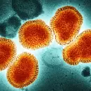 Alerta por la "supergripe" H3N2: crecen los casos y un nuevo dato enciende alarmas