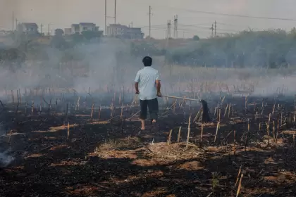 Avances y contracorrientes en la lucha contra el cambio climático