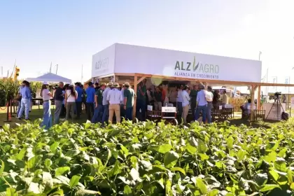 ALZ Agro es una PyME del sector agroindustrial con base en la ciudad de Rosario.