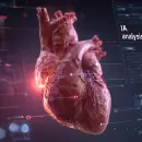 Argentina patenta un marcapasos que imita al corazón real: el hallazgo que puede cambiar la cardiología