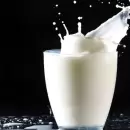 El negocio de la leche se concentra: más producción, menos tambos