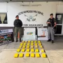 Operativo Sr. Frío: iba por el monte con un freezer al hombro, lo frenó Gendarmería y lo que hallaron es increíble