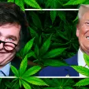 Cannabis en Argentina: qué esperar de la alianza estratégica Trump-Milei