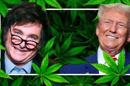Trump, Milei y el cannabis.