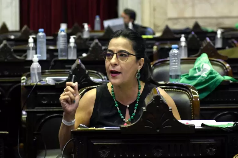 La senadora Carolina Moisés (Convicción Federal)