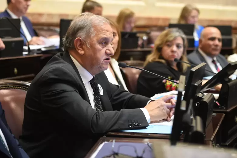 Carlos Linares (Justicialista) durante el debate por la reforma laboral