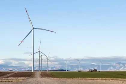 Con este contrato, ambas compañías refuerzan el avance del sector industrial argentino hacia esquemas de abastecimiento eléctrico más limpios.